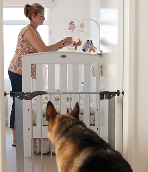 Actively supervise or securely separate dogs and children with a gate